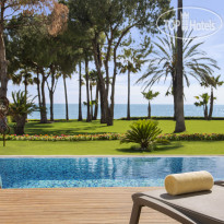 Acanthus & Cennet Barut Collection 