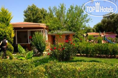 New photos from tourists Side Altinkum 3*