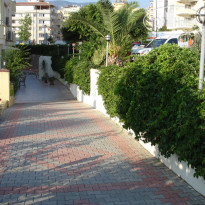 Orange Grove Apartment 