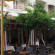 Mola Hotel 