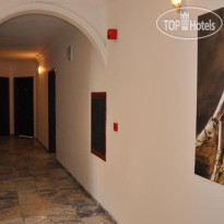 Odeon Apartment 