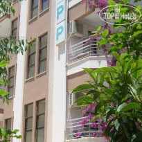 Palmen Apartment 