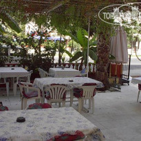 Aurora (закрыт) 