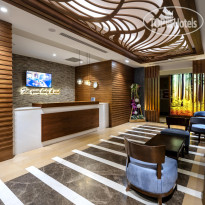 Sidera Kirman Premium  