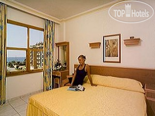 New photos from tourists Dolphin Family 3*