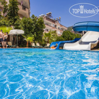 Kleopatra Royal Palm 