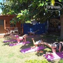 Clover Magic Garden Beach