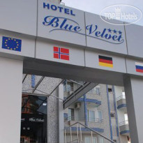 Blue Velvet 