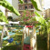 Seda Apart Hotel 