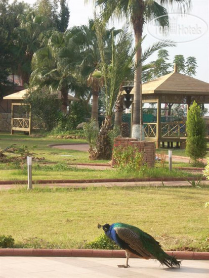 New photos from tourists Venessa Beach 3*