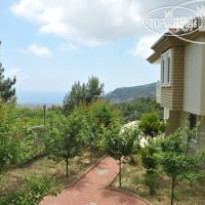 Best House Villa Park 