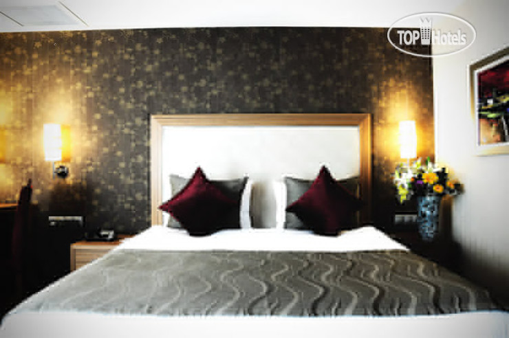New photos from tourists Demora Hotel 4*