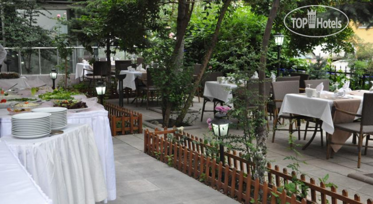 New photos from tourists Pino Hotel