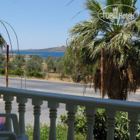 Selina Hotel