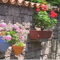 Cunda Nesos Hotel 