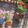 Cunda Nesos Hotel 