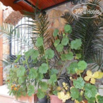 Marti Hotel 
