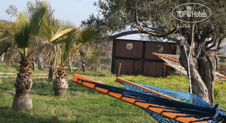 Hotel photo Cunda Doga Hotel 