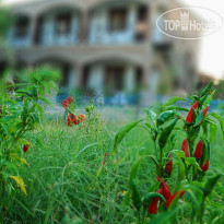 Deniz Hotel 
