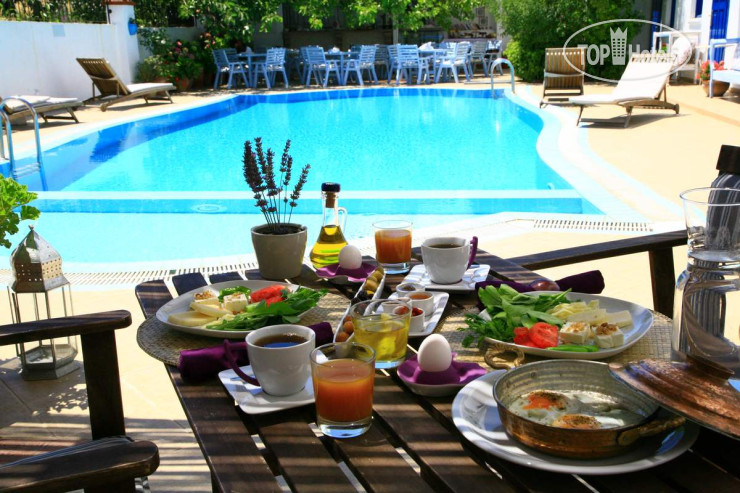 New photos from tourists Kapya Hotel