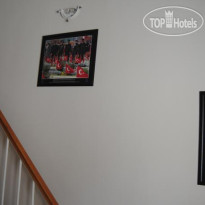 Anzac House Youth Hostel
