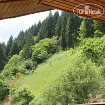 Kayalar Pansiyon & Restaurant Вид из номера