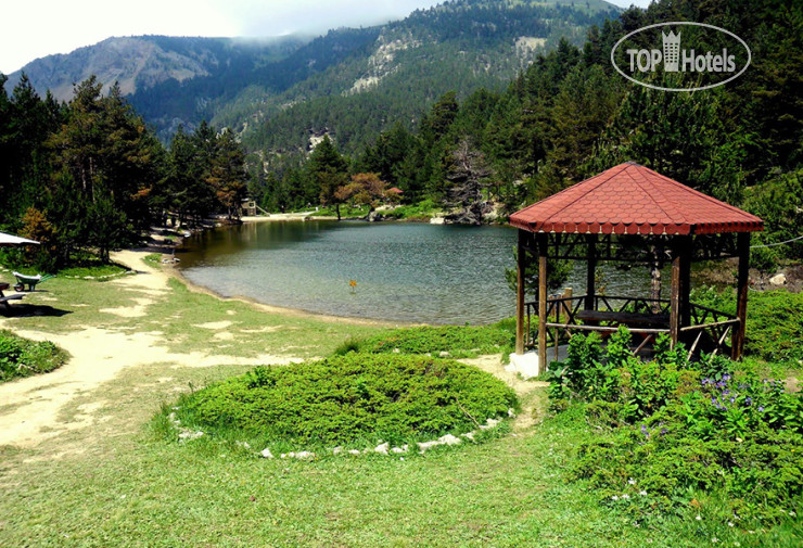 New photos from tourists Zitas Zigana Yayla Tatil Koyu 3*