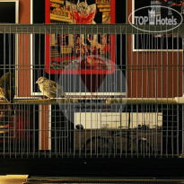 Hosteleski Hostel