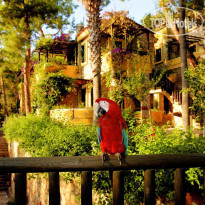 Symbola Oludeniz Beach Hotel 
