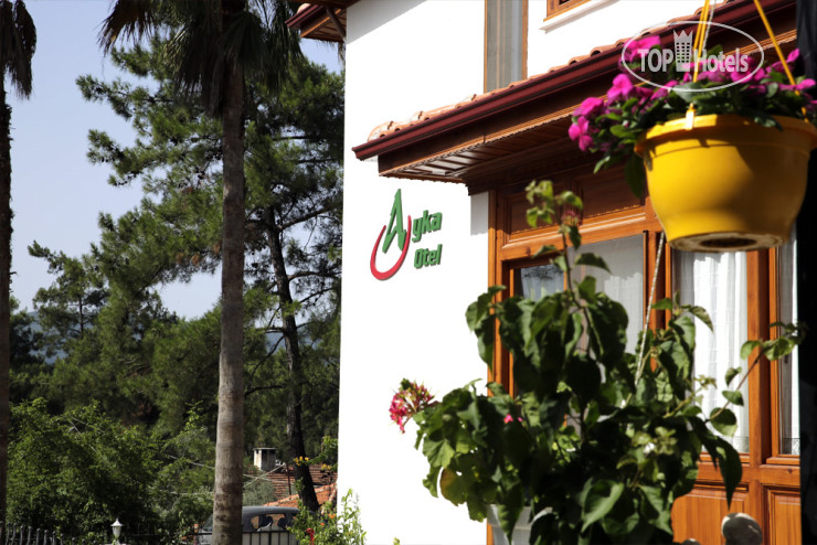 New photos from tourists Ayka Hotel