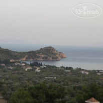 Bougain Villa