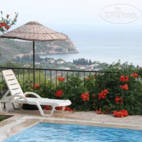 Bougain Villa