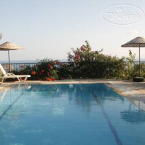 Bougain Villa