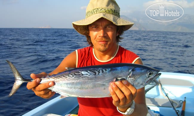 New photos from tourists Yarimada Apart & Pension