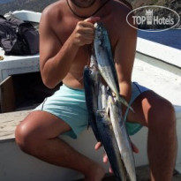 Yarimada Apart & Pension