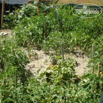 Anka Ahsap & Kutuk Evler Hotel