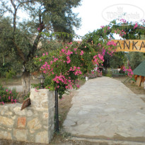 Anka Ahsap & Kutuk Evler Hotel