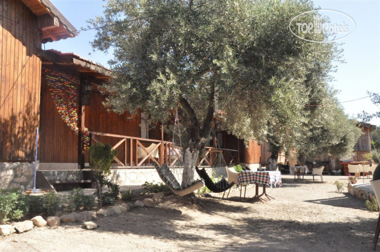 New photos from tourists Anka Ahsap & Kutuk Evler Hotel