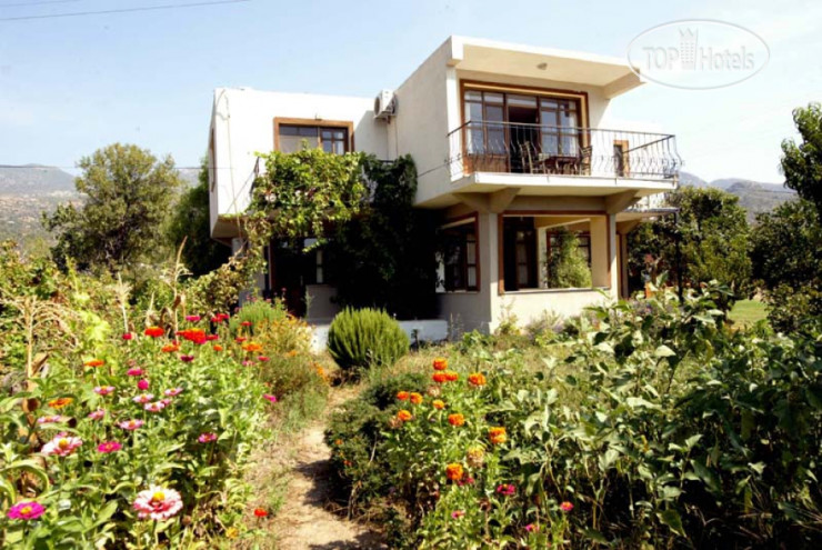 New photos from tourists Gunay Pension