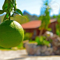 Hayitbuku Ahsapevleri Hotel