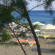 Sempati Apart Hotel 