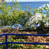 Serenity Pension 