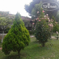 Gunbatimi Hotel
