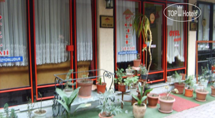 Hotel photo Necmi Hotel 