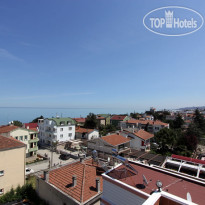 Dolphin Hotel