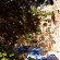 Sahmeran Otantik Pension 