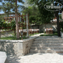 Arpacioglu 