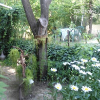 Evim Butik Konak Hotel