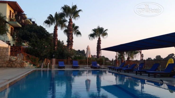 New photos from tourists Patara Delfin Hotel