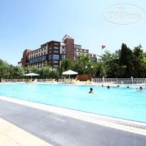 Anemon Manisa